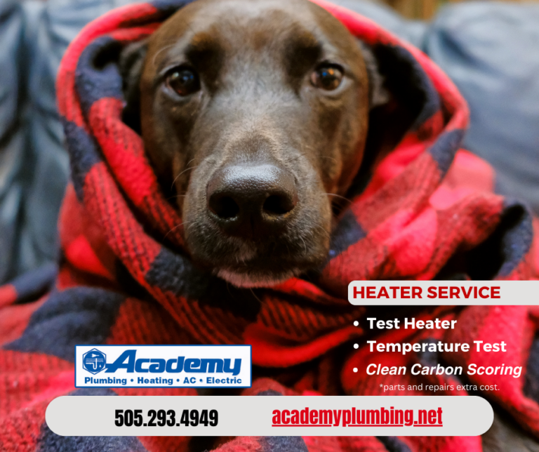 Cold Puppy Heater Service